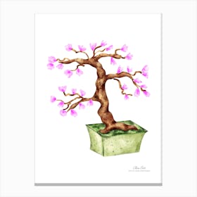 Cherry Blossom Tree.A fine artistic print that decorates the place. Canvas Print