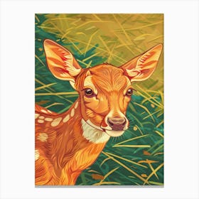 Fawn Illustration 11 Canvas Print