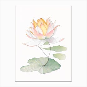 Amur Lotus Pencil Illustration 3 Canvas Print