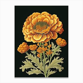 Marigold Wildflower Vintage Botanical 2 Canvas Print