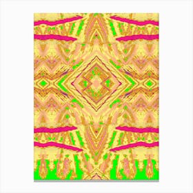 Kaleidoscope 5 Canvas Print