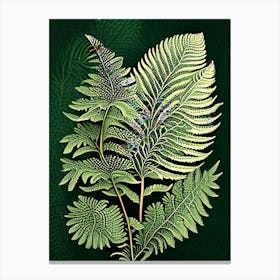 Tasmanian Tree Fern 1 Vintage Botanical Poster Canvas Print