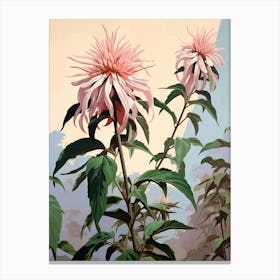 Floral Illustration Bee Balm 1 Canvas Print