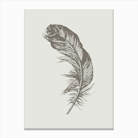 Grey Feather Print 6 Canvas Print