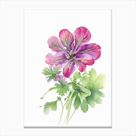 Wild Geranium Wildflower Watercolour 1 Canvas Print