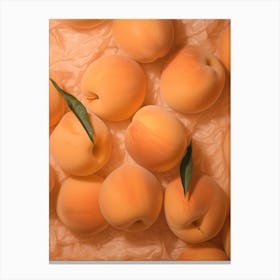 Fuzzy Peaches 6 Canvas Print