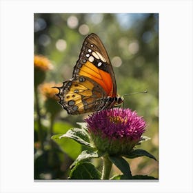 Butterfly On A Flower 1 Canvas Print