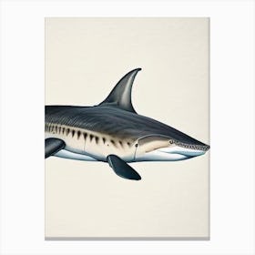Greenland Shark Vintage Canvas Print