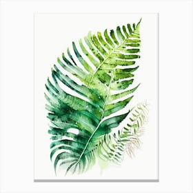 Mother Fern 3 Watercolour Canvas Print