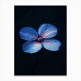 Blue Flower 10 Canvas Print