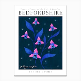 County Flower of Bedfordshire Bee Orchid Canvas Print