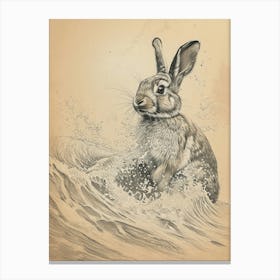 Blanc De Hotot Rabbit Drawing 4 Canvas Print