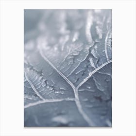 Frost On A Leaf 1 Canvas Print