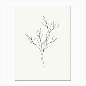 Line Drawing Of A Branch Canvas Print