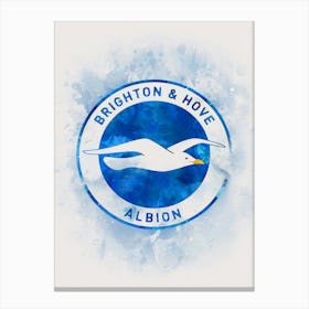 Brighton & Hove Albion 2 Canvas Print
