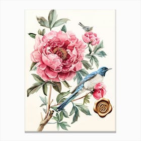 Chinese Peony Canvas Print