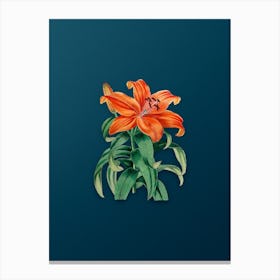 Vintage Thunberg's Orange Lily Botanical Art on Teal Blue n.0308 Canvas Print