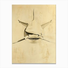 Angel Shark Vintage Illustration 2 Canvas Print