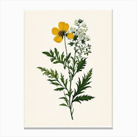 Vintage Botanical Galleria Style Wildflower Painting 8 Canvas Print