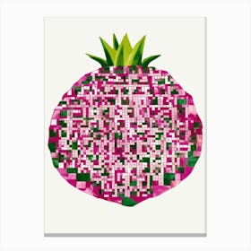 Pomegranate 4 Canvas Print