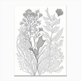 Pleurisy Root Herb William Morris Inspired Line Drawing 2 Canvas Print