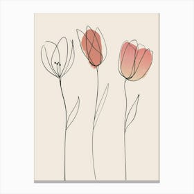 Tulips 27 Canvas Print