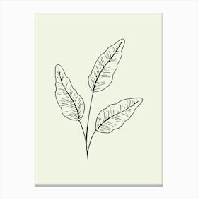 Doodle Drawing Of A Leaf line art 1 Canvas Print