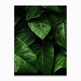 Green Leaves Canvas Print