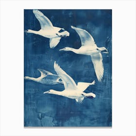 Swans In Flight 1 Canvas Print