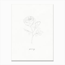 Peony Line Drawing Canvas Print