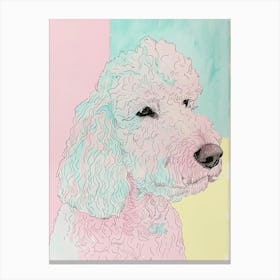 Pastel Spanish Water Dog Line Illustration 2 Canvas Print