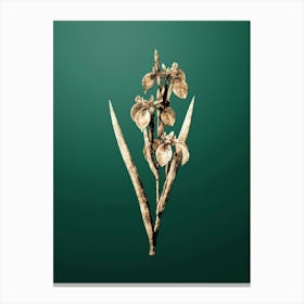 Gold Botanical Irises on Dark Spring Green n.3107 Canvas Print