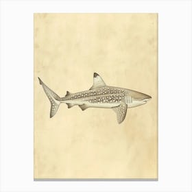 Whale Shark Vintage Illustration 5 Canvas Print