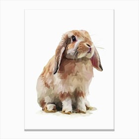 Holland Lop  Rabbit Kids Illustration 3 Canvas Print