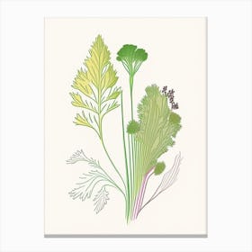 Celery Seed Spices And Herbs Minimal Line Drawing 1 Canvas Print