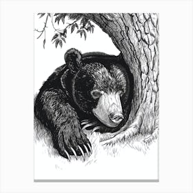 Malayan Sun Bear Laying Under A Tree Ink Illustration 4 Canvas Print