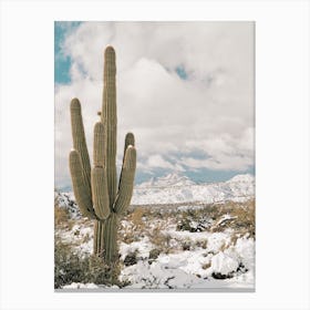 Saguaro Desert Snow Canvas Print