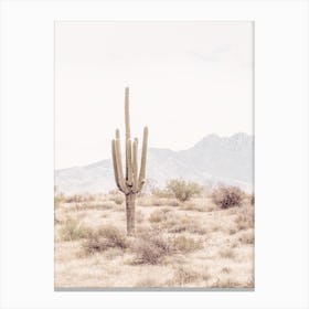 Saguaro Desert Canvas Print