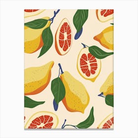 Citrus Fruit Abstract Illustration 1 Canvas Print