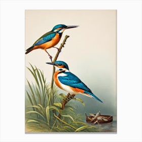 Kingfisher James Audubon Vintage Style Bird Canvas Print