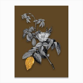 Vintage Apple Rose Black and White Gold Leaf Floral Art on Coffee Brown n.0709 Canvas Print