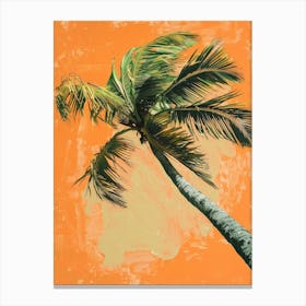 Palm Tree 46 Canvas Print