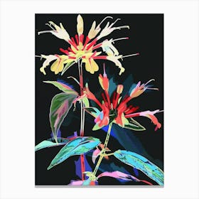 Neon Flowers On Black Bee Balm 3 Canvas Print
