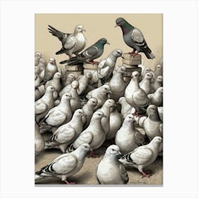 Pigeons 3 Canvas Print