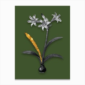 Vintage Amaryllis Black and White Gold Leaf Floral Art on Olive Green n.0690 Canvas Print