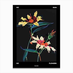 No Rain No Flowers Poster Gaillardia 1 Canvas Print