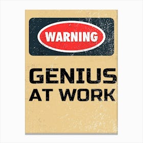 Genius At Work Canvas Print