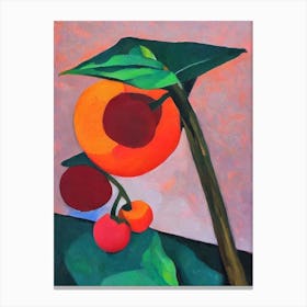 Common Persimmon Tree Cubist Canvas Print