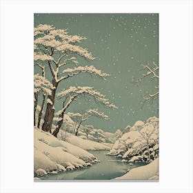 Snowy River Canvas Print