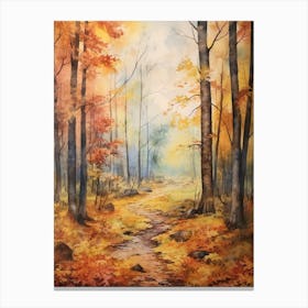 Autumn Forest Landscape Bialowieza Forest Poland 1 Canvas Print